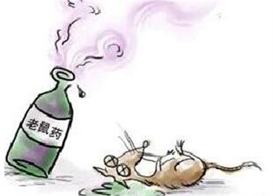 景隆捕鼠器廠家解決老鼠的好辦法