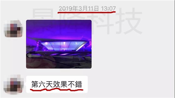 景隆LED粘捕式滅蠅燈反饋